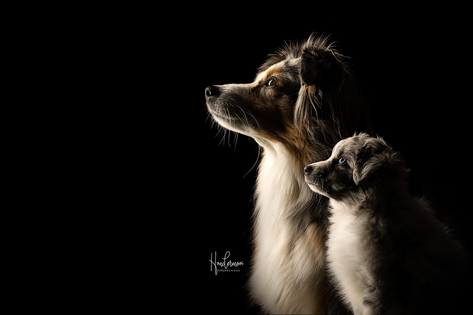 Posing together profile Posing together profile