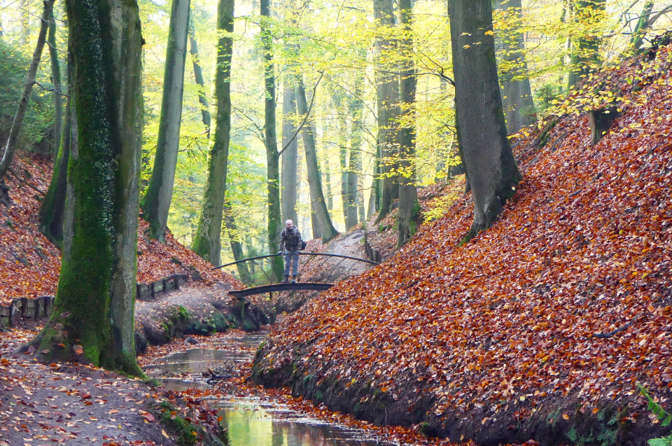 Hills in the Netherlands