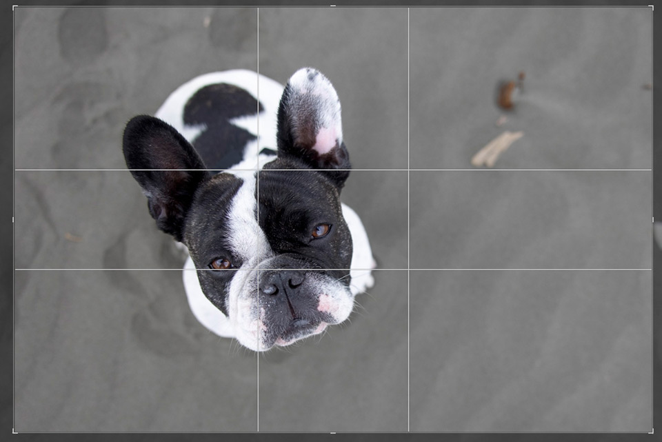Grids Grids