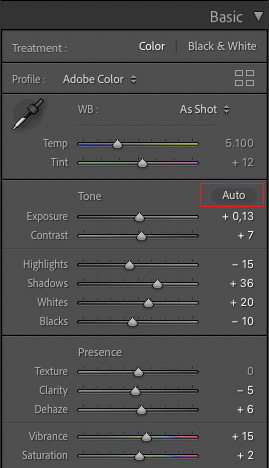 Auto Tone function Auto Tone function