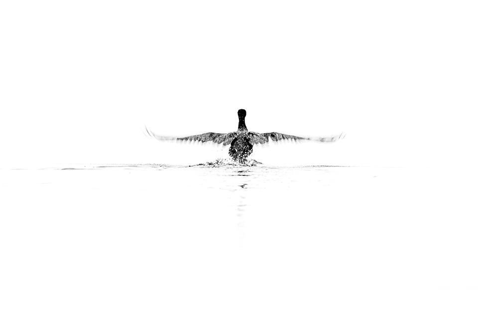 20201202 Oolderplas and Busjop untitled shot 7301717