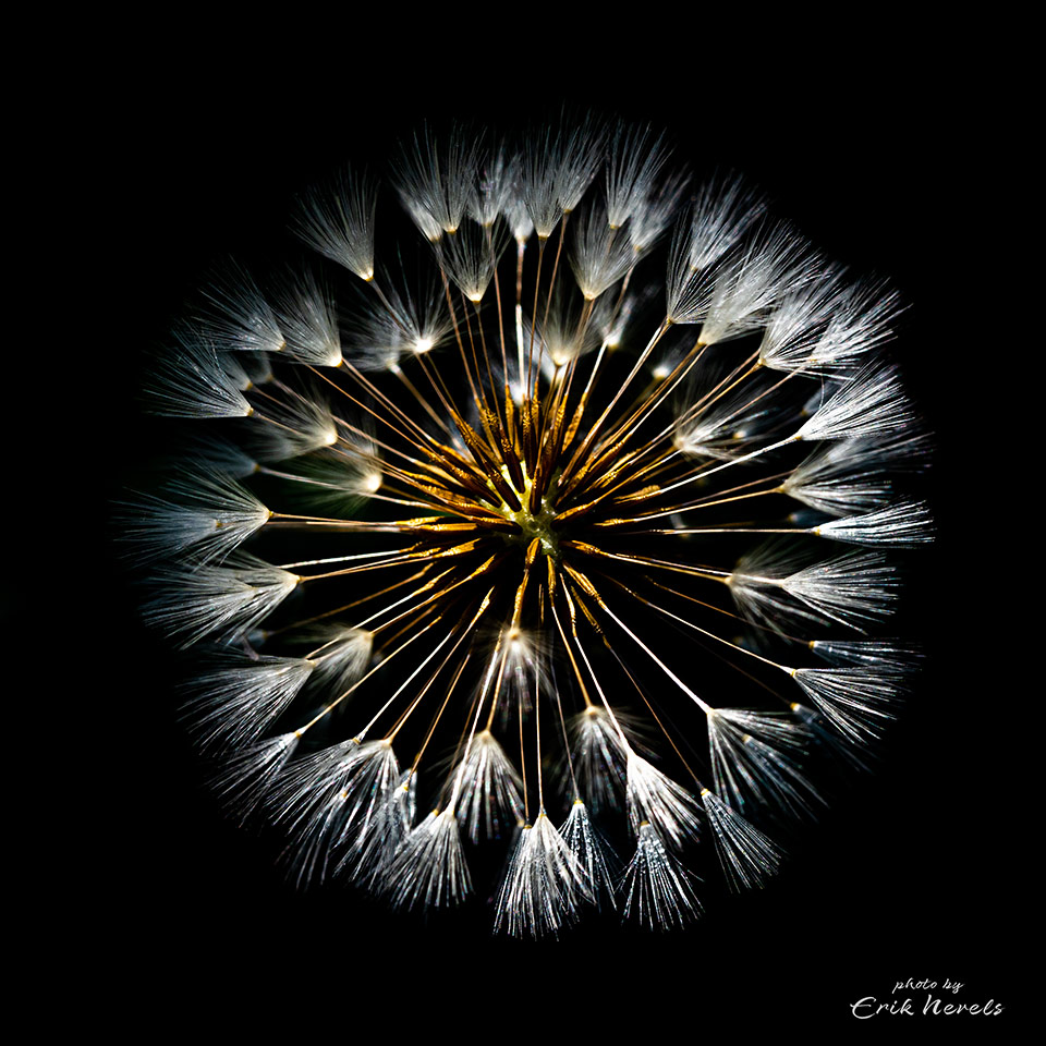 20210427 Hoosden untitled photograph 7309360 20210427 Hoosden untitled photograph 7309360