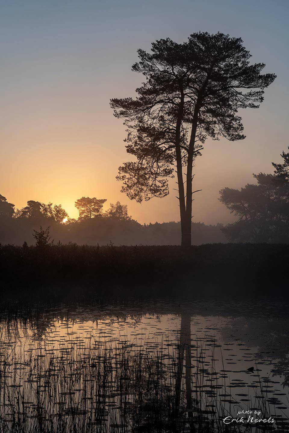 20210528 Beegderheide2 untitled shot 7301403 20210528 Beegderheide2 untitled shot 7301403