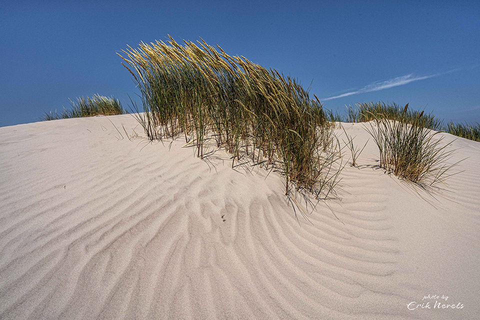 Patterns in the sand