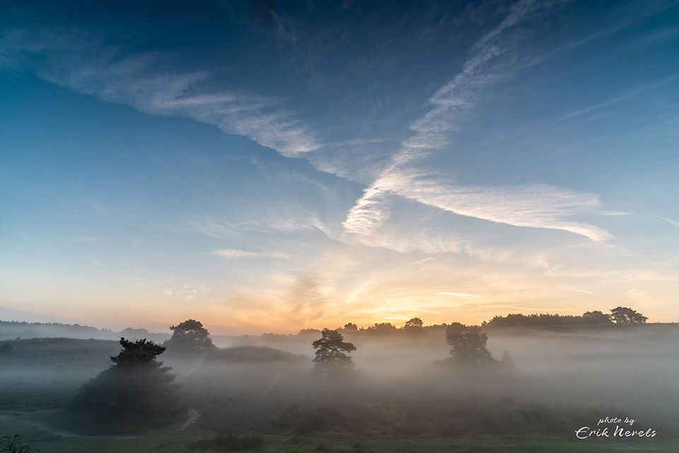 Brunssummerheide Brunssummerheide