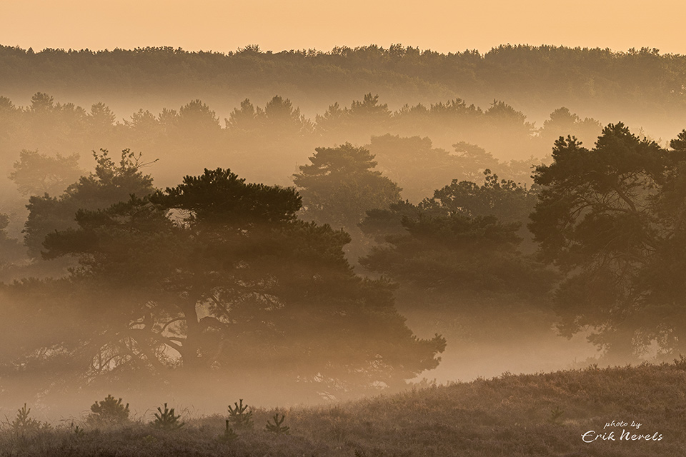 Brunssummerheide Brunssummerheide
