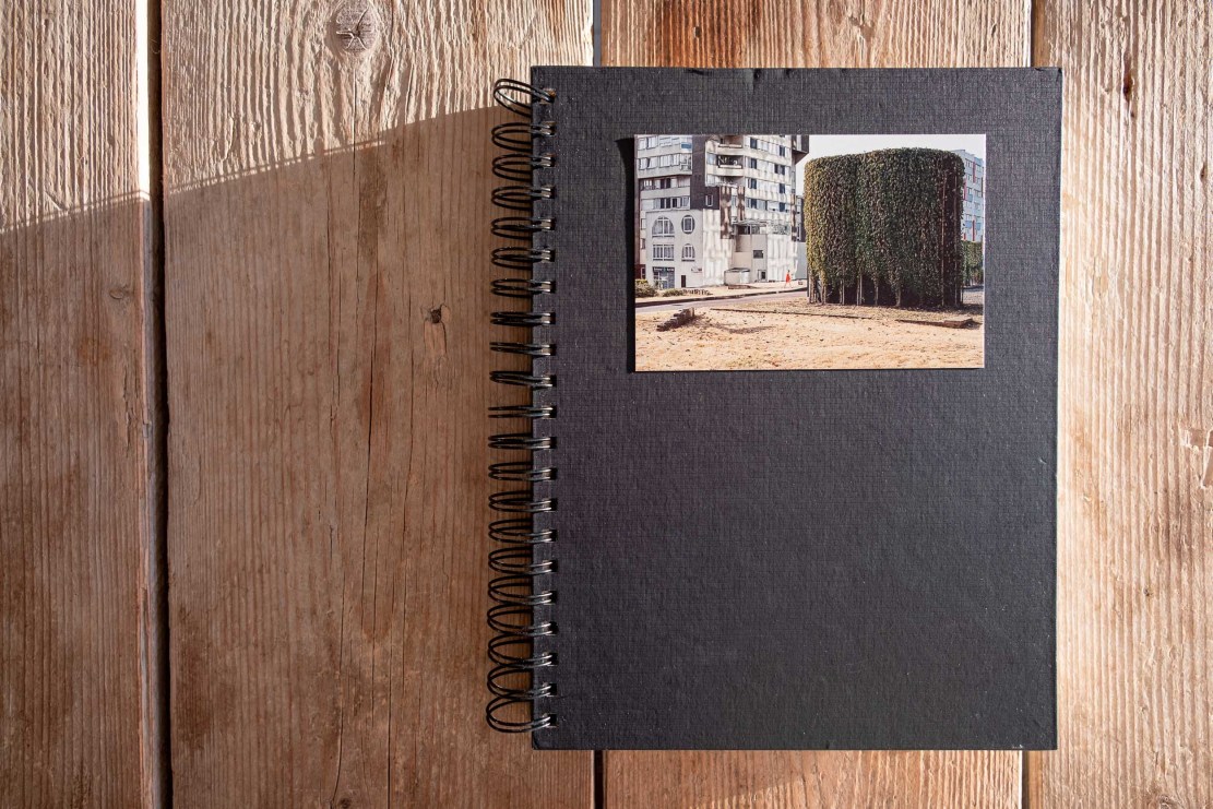 Dummy book