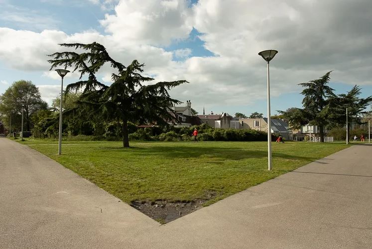 Photo 3