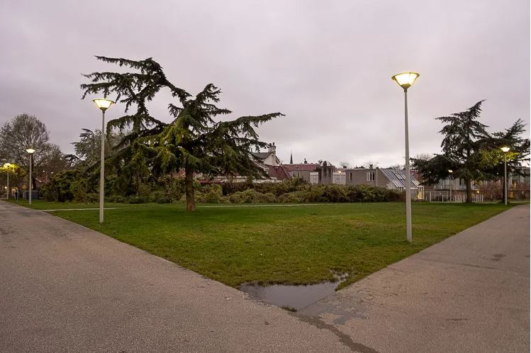 Photo 4