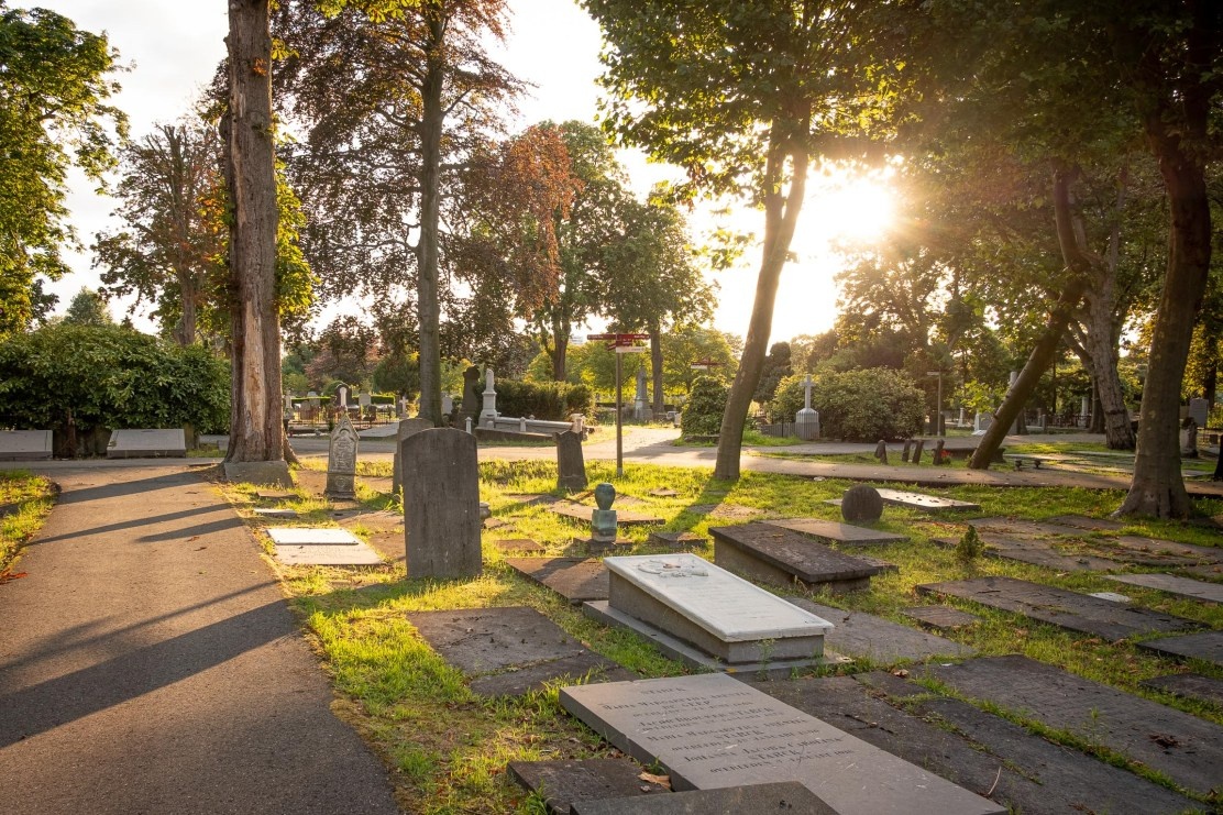 Cemetery Cemetery