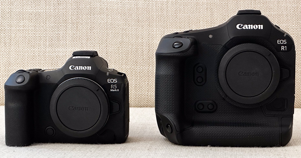 Canon EOS R5 mark II versus Canon EOS R1 Canon EOS R5 mark II versus Canon EOS R1