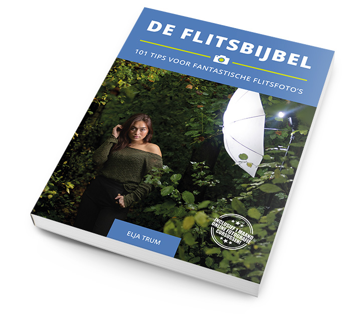 De Flitsbijbel De Flitsbijbel