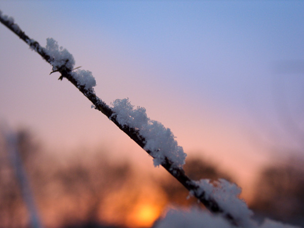 Snow detail Snow detail