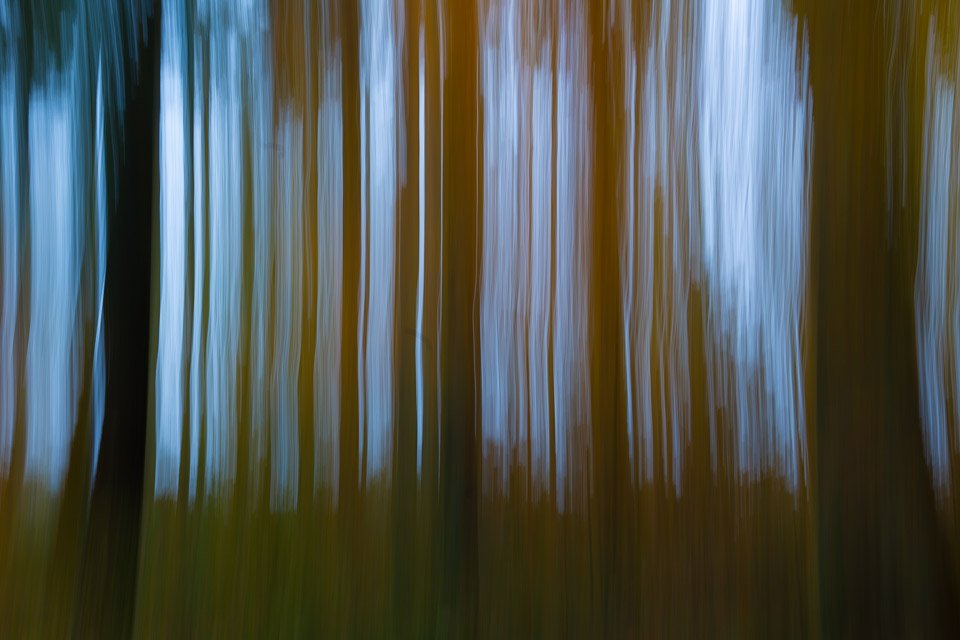 Deliberately Blurred Photo Deliberately Blurred Photo