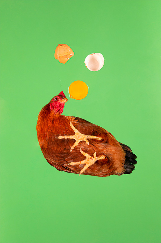 Winning photo by Kees