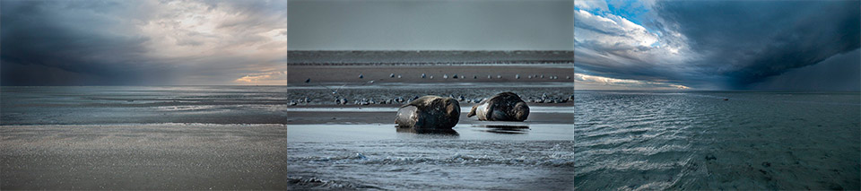 Winning Wadden series by Stefano Winning Wadden series by Stefano