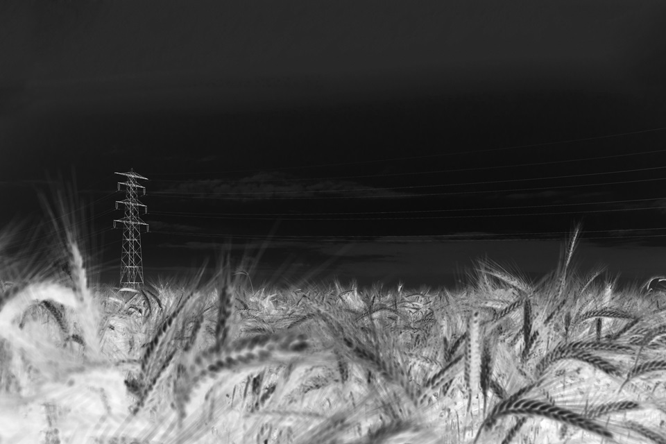 Infrared filter