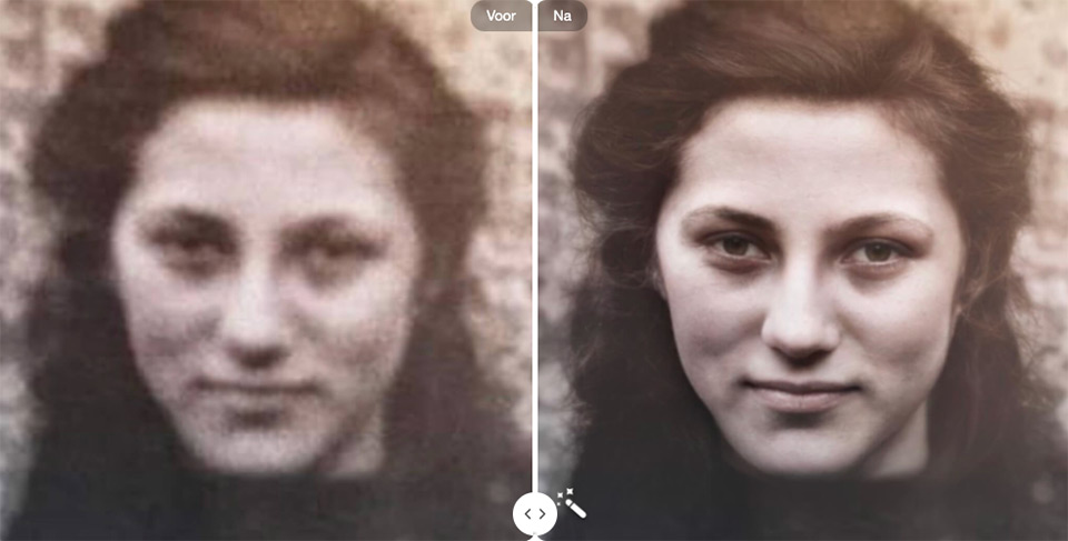 MyHeritage example MyHeritage example
