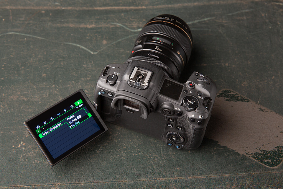 Disabling Exposure Simulation on the Canon EOS R5 Disabling Exposure Simulation on the Canon EOS R5