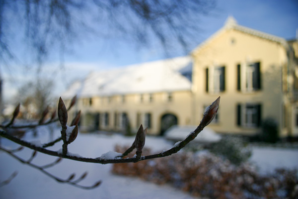 Snow three houses Snow three houses