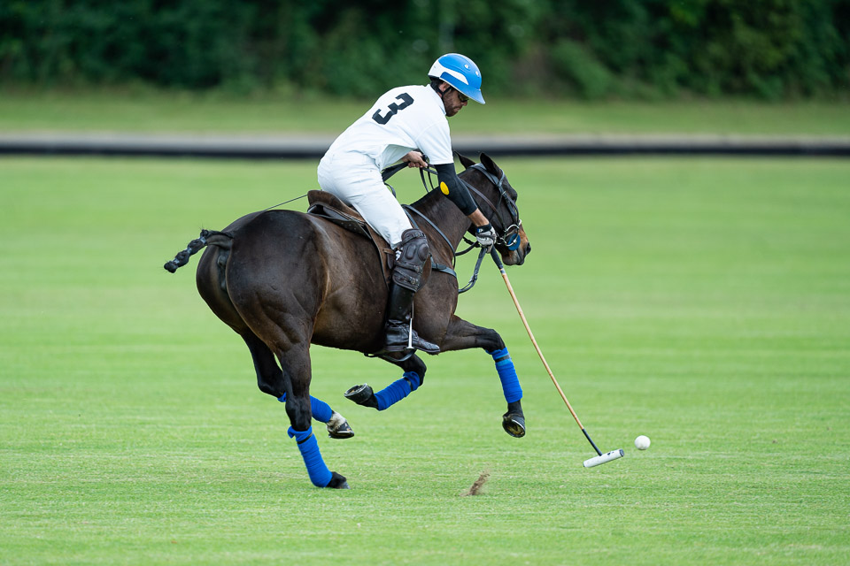 Sony 600mm, polo match Sony 600mm, polo match
