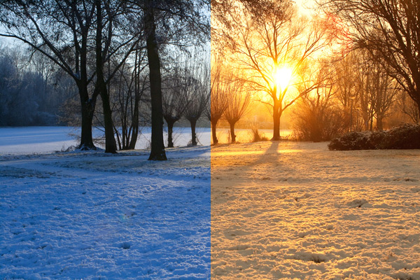 Winter sun