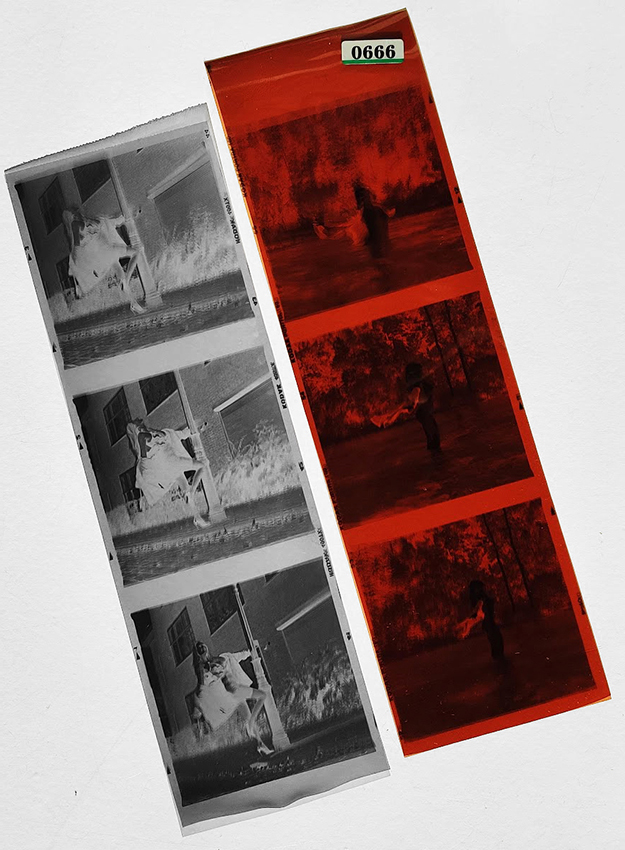 Difference between colour and black and white 02 Difference between colour and black and white 02