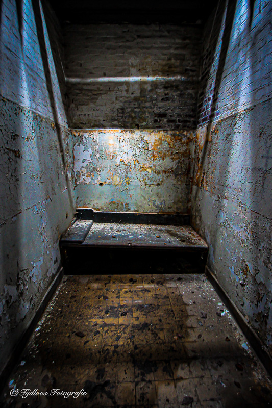 Cell 11