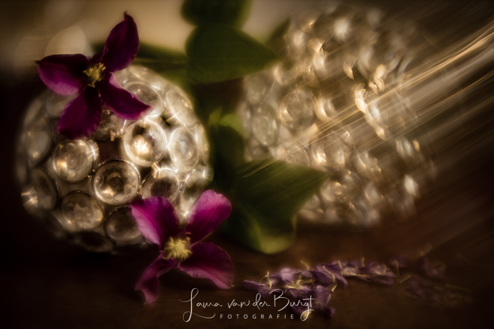 Still life Still life