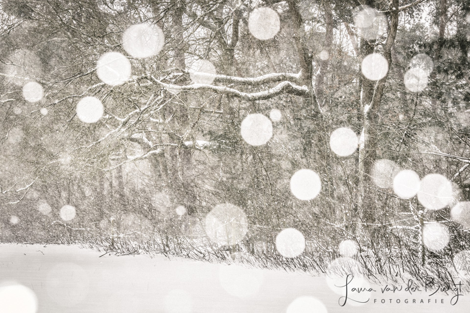 Laura Winter Fun 3