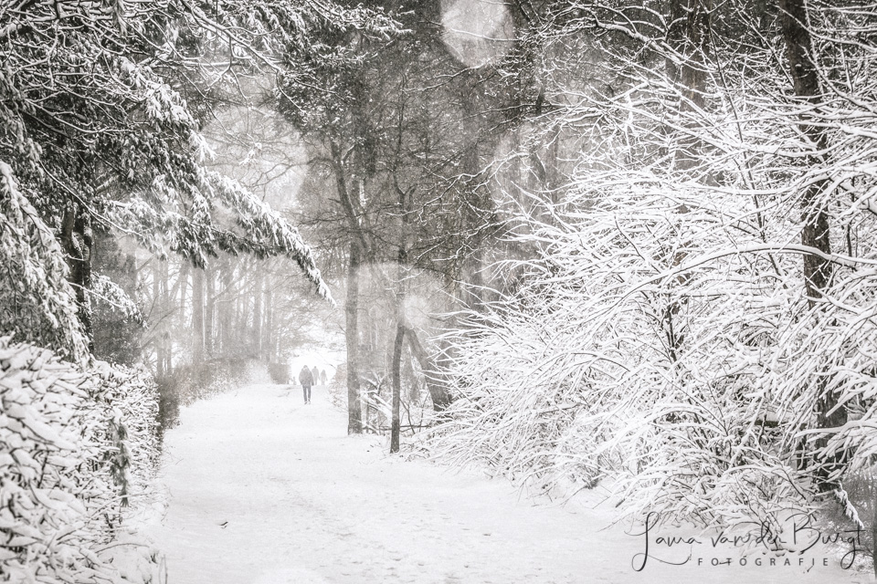 Laura Winter Fun 4