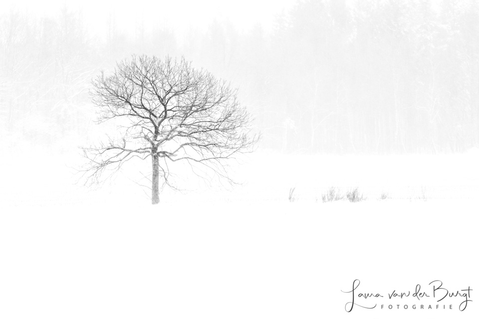 Laura Winter Fun 5