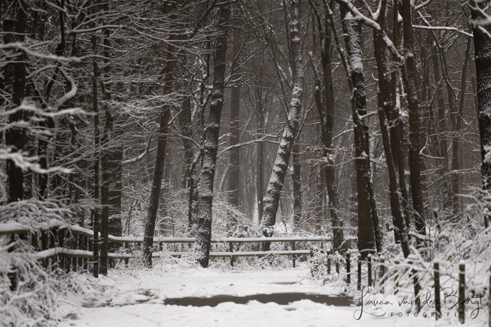 Laura Winter Fun 6