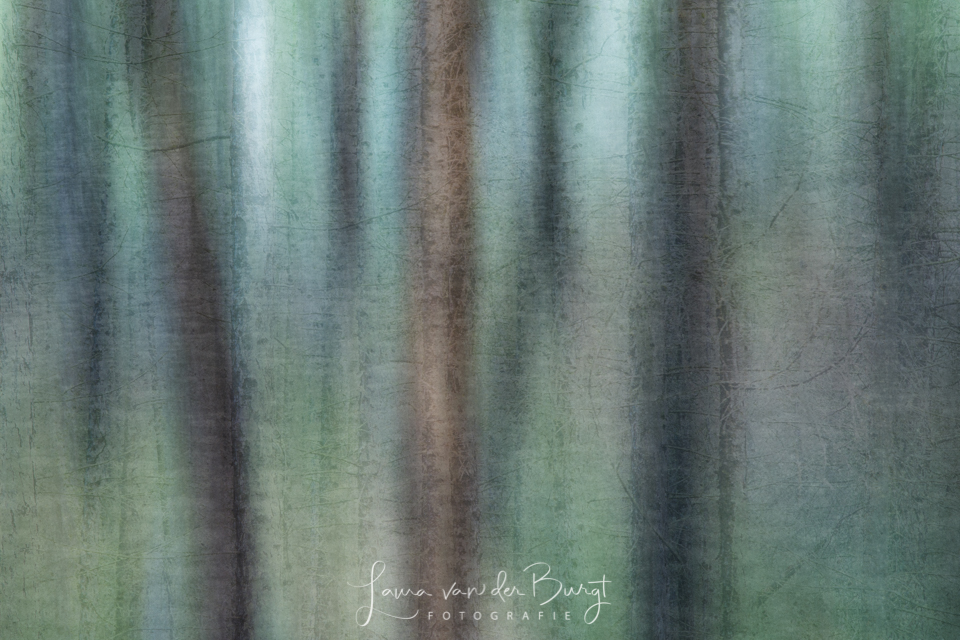 Laura abstract trees Laura abstract trees