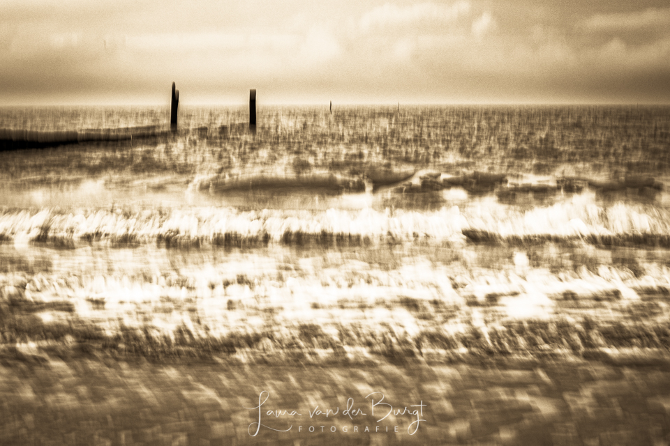 The sea in motion The sea in motion