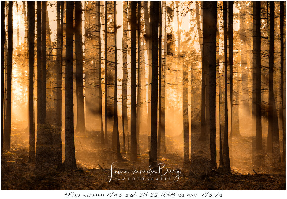 Laura van der Burgt - Autumn photography Laura van der Burgt - Autumn photography