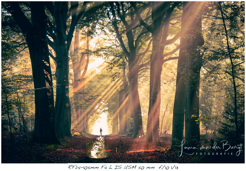 Laura van der Burgt - autumn photography