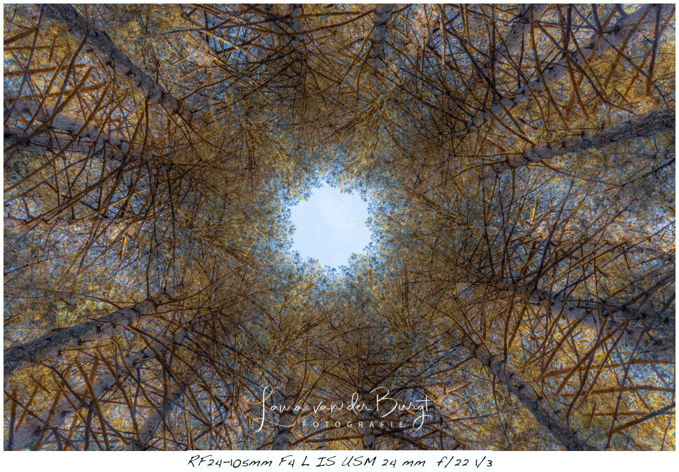 Laura van der Burgt Kaleidography 2 Laura van der Burgt Kaleidography 2