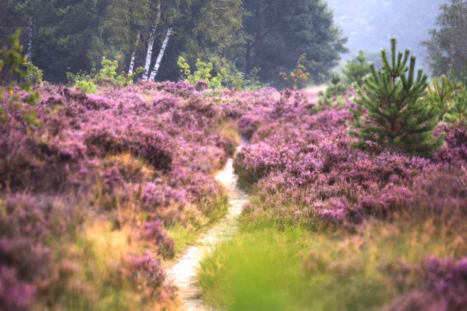 Laura van der Burgt Landscape photography 1 Laura van der Burgt Landscape photography 1