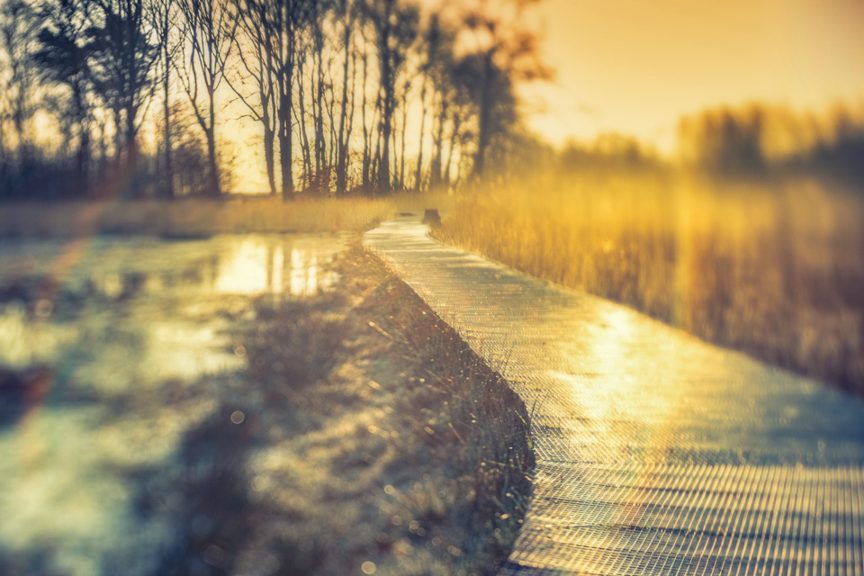 Laura van der Burgt Landscape photography 3 Laura van der Burgt Landscape photography 3