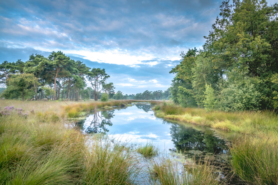 Laura van der Burgt Landscape photography 4 Laura van der Burgt Landscape photography 4