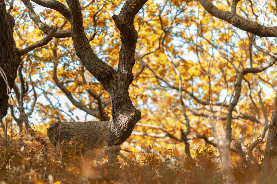 Laura van der Burgt Photofacts Make an impression with your photos 7 Laura van der Burgt Photofacts Make an impression with your photos 7