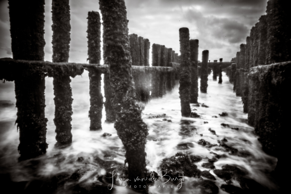 Pinhole Pinhole
