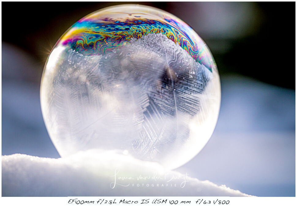 Soap bubble Soap bubble