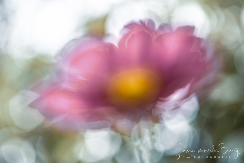 Laura van der Burgt - Inspiration