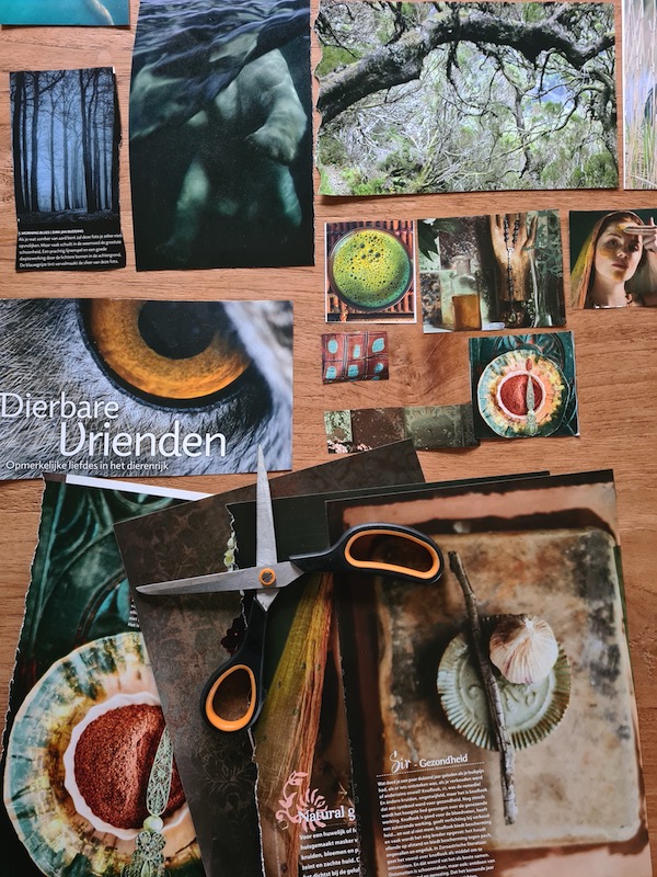 Moodboard in progress Moodboard in progress