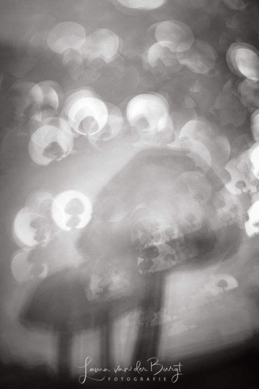 Mushrooms