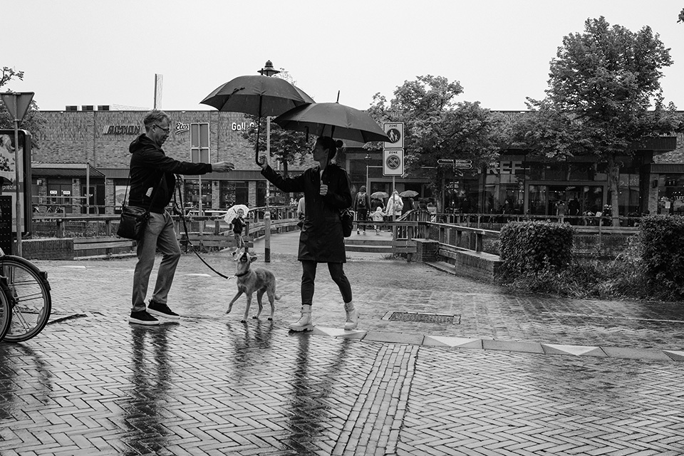 Photographing umbrellas