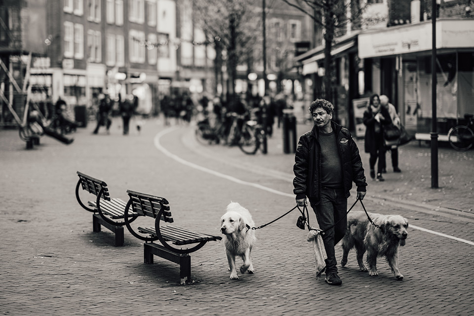Michiel heijmans street photography bible man dogs
