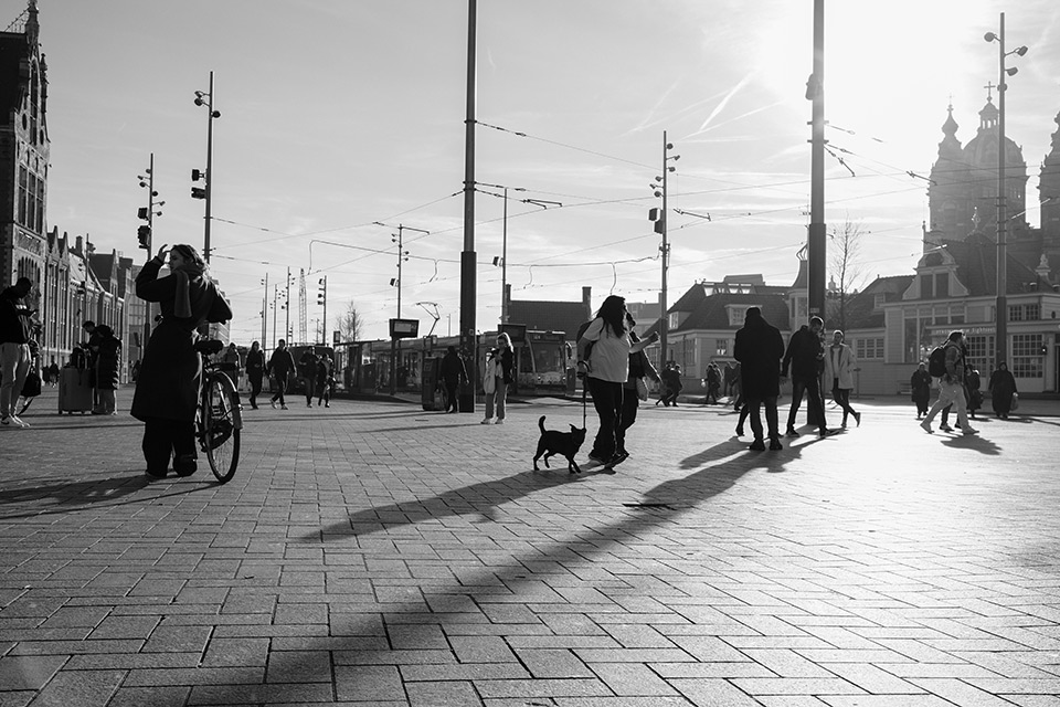 Amsterdam street photo overview Amsterdam street photo overview